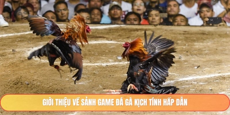 Giới thiệu về sảnh game đá gà kịch tính hấp dẫn
