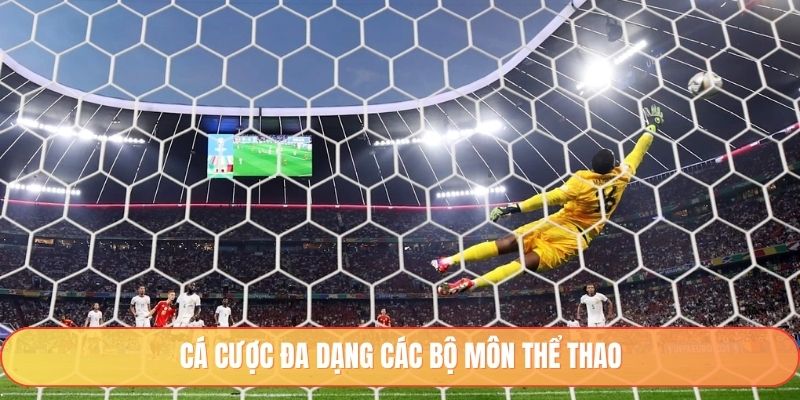 Cá cược đa dạng các bộ môn thể thao